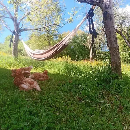 Apartment Sauna, Tiere Und Natur Im Lerchennest Dornstetten