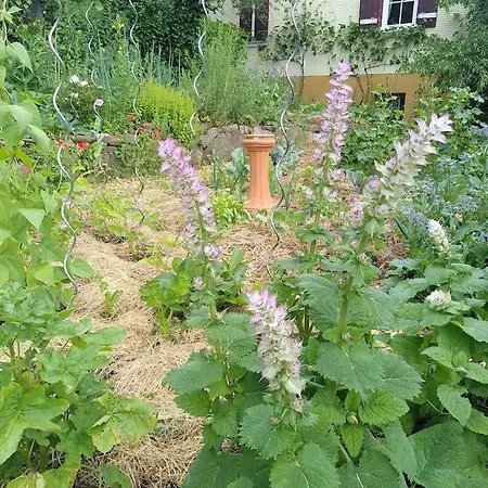 Sauna, Tiere Und Natur Im Lerchennest *