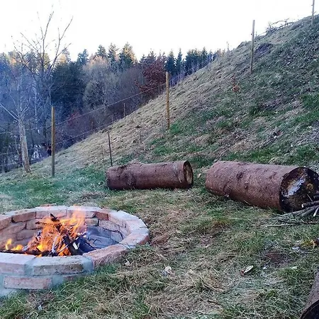 Sauna, Tiere Und Natur Im Lerchennest * Dornstetten
