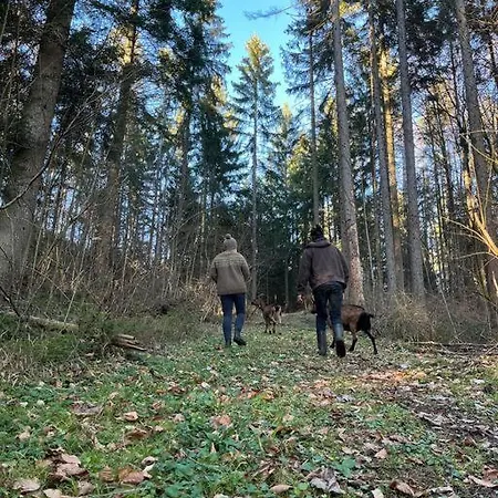 Sauna, Tiere Und Natur Im Lerchennest Apartment