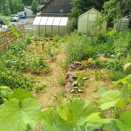 Sauna, Tiere Und Natur Im Lerchennest Apartment
