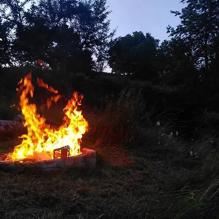 Apartment Sauna, Tiere Und Natur Im Lerchennest *