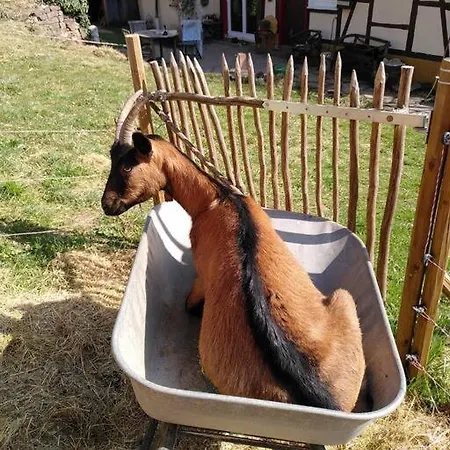 Sauna, Tiere Und Natur Im Lerchennest Apartment