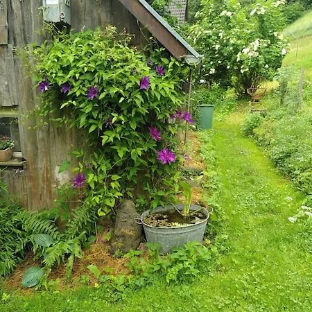 Sauna, Tiere Und Natur Im Lerchennest Dornstetten